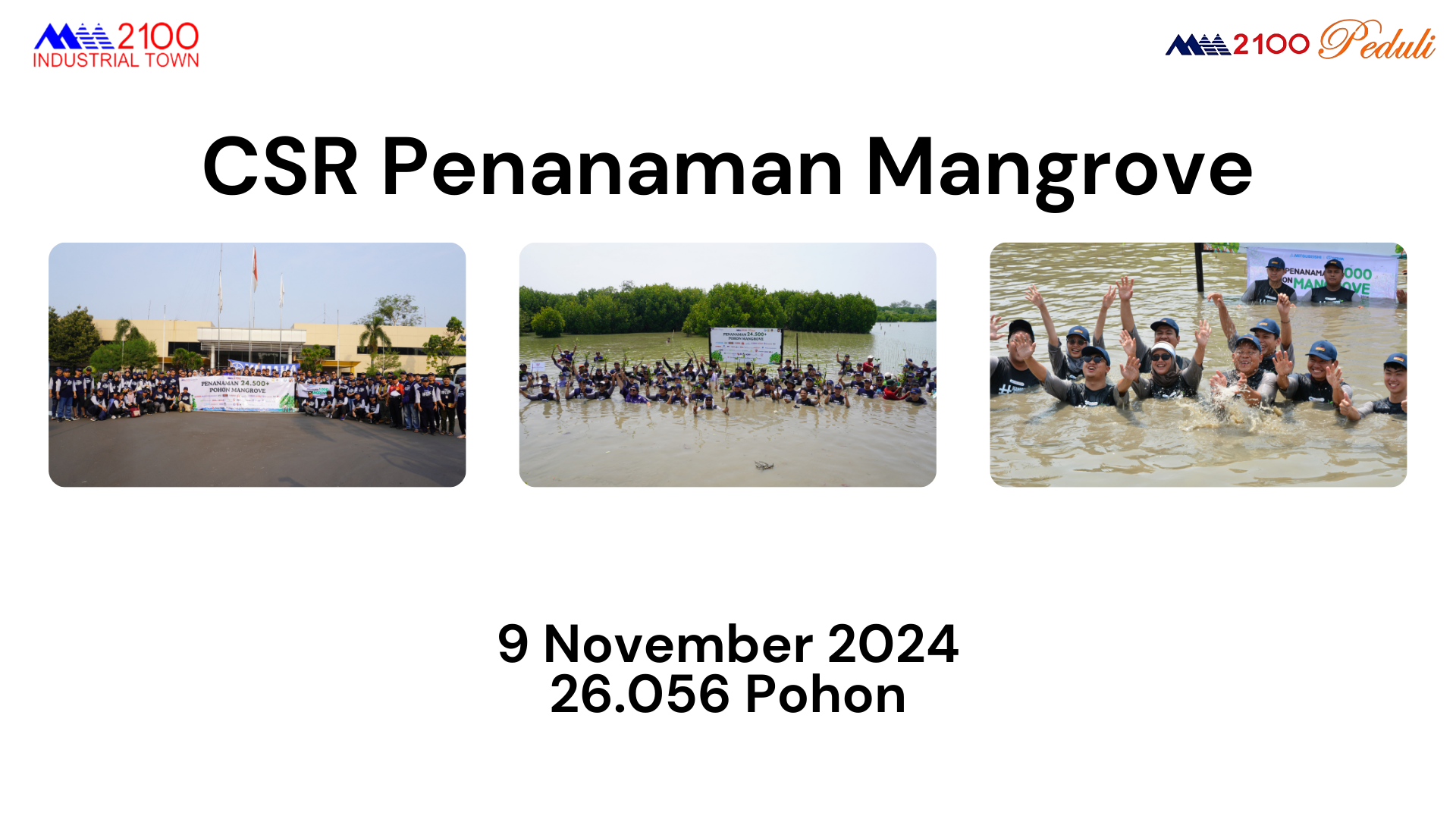 CSR Penanaman Mangrove